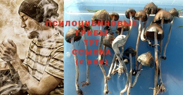 ешки Волосово