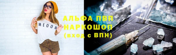 амф Верея
