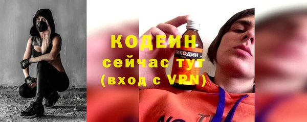 амф Верея