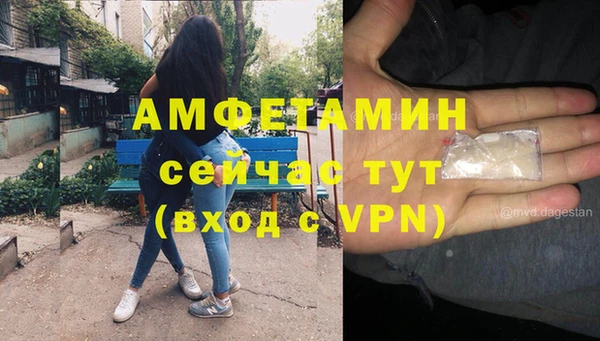 амф Верея