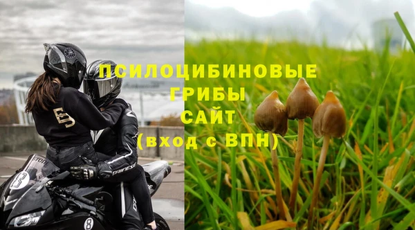 амф Верея